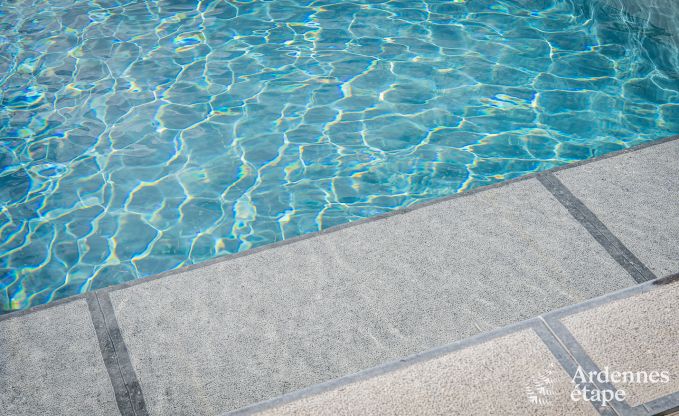 Ferienhaus Durbuy 10/12 Pers. Ardennen Schwimmbad Wellness