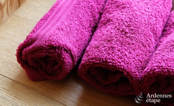 Luxusvilla in Durbuy f�r 4 Personen in den Ardennen