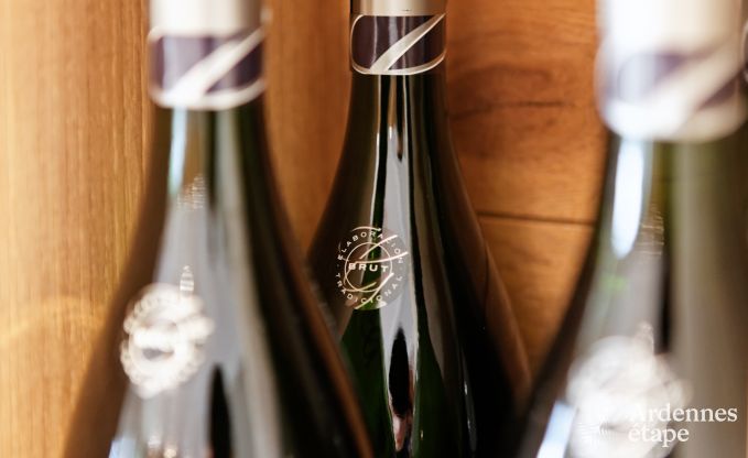 Luxusvilla in Durbuy f�r 4 Personen in den Ardennen