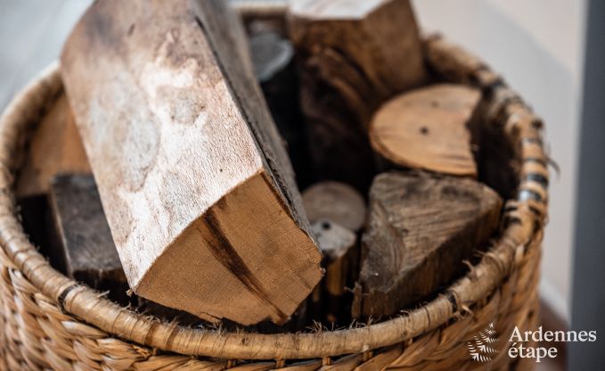 Luxusvilla Durbuy 11 Pers. Ardennen Schwimmbad Wellness