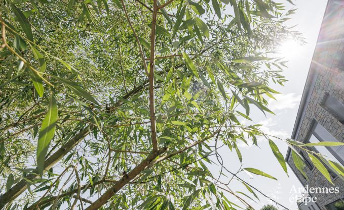 Luxusvilla Durbuy 14 Pers. Ardennen Schwimmbad Wellness