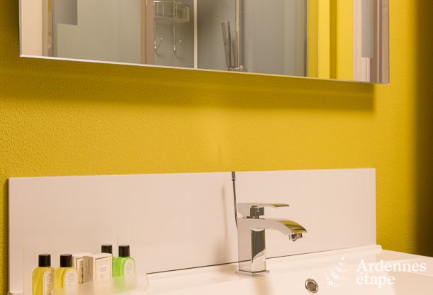 Luxusvilla in Durbuy: Unterkunft fr 15 Personen mit Pool, Spa und Natur in den Ardennen