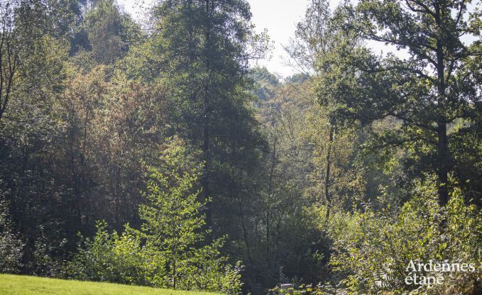 Luxusvilla Durbuy 9 Pers. Ardennen Schwimmbad Wellness