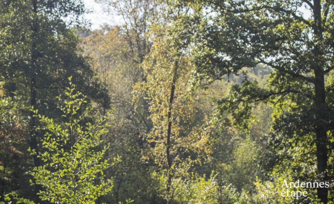 Luxusvilla Durbuy 9 Pers. Ardennen Schwimmbad Wellness