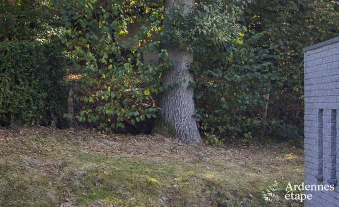 Luxusvilla Durbuy 9 Pers. Ardennen Schwimmbad Wellness