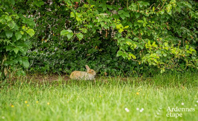 Wohnung Durbuy 2 Pers. Ardennen