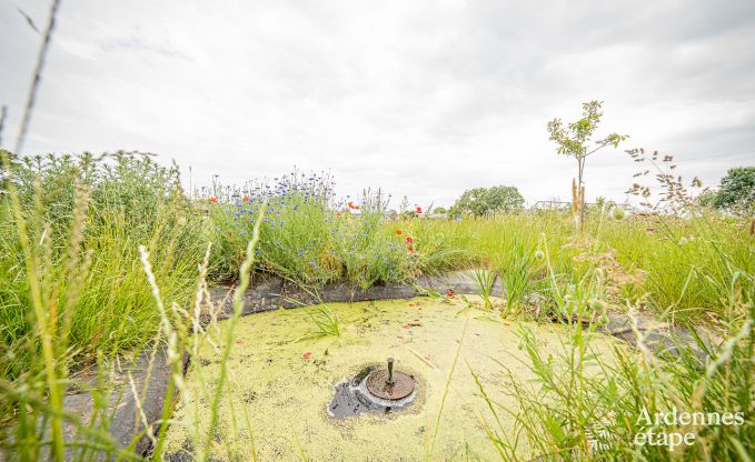 Wohnung Durbuy 2 Pers. Ardennen