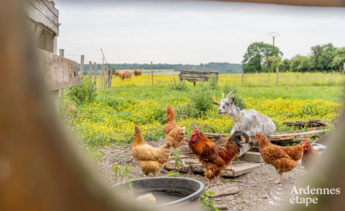 Wohnung Durbuy 2 Pers. Ardennen