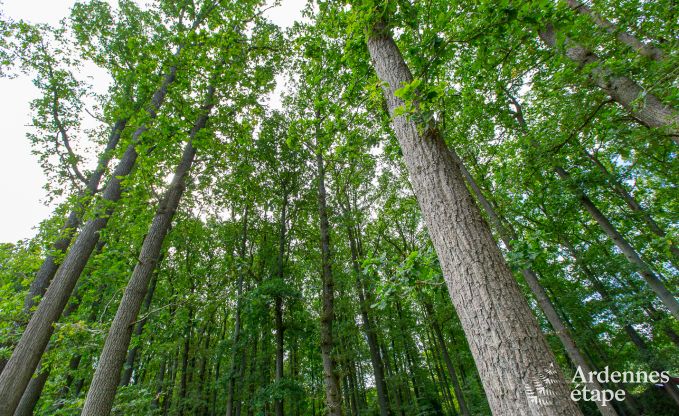 Ferienhaus Erez�e 6 Pers. Ardennen Wellness