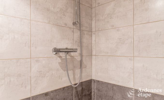 Ferienhaus Erezee 15 Pers. Ardennen Wellness