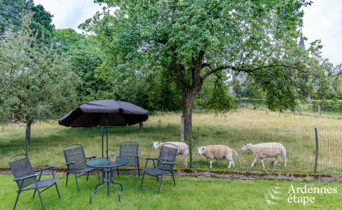 Ferienhaus Erezee 15 Pers. Ardennen Wellness