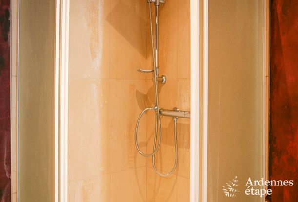 Gerumiges Haus fr 12 Personen in Ereze, 6 Schlafzimmer, Sauna, Jacuzzi, Spielzimmer, Ardennen