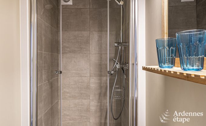 Ferienhaus Erez�e 8 Pers. Ardennen Schwimmbad Wellness