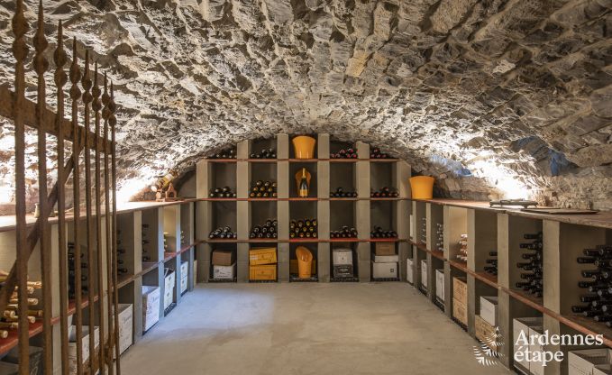 Luxusvilla Ereze 25 Pers. Ardennen Schwimmbad Wellness