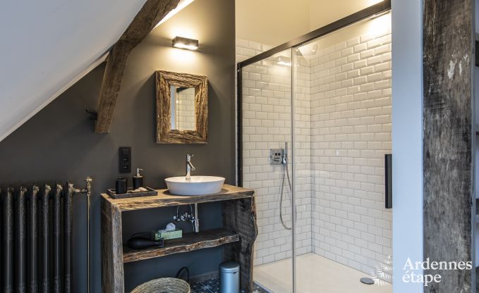 Luxusvilla Ereze 25 Pers. Ardennen Schwimmbad Wellness