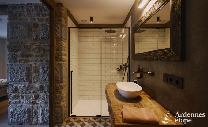 Luxurise Villa in Ereze mit 9 Schlafzimmern, 9 Badezimmern, Hallenbad, Sauna und groem Garten fr 24 Personen