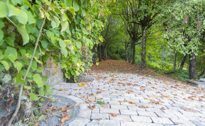 Schloss Ereze 12/15 Pers. Ardennen Schwimmbad Wellness Behinderten gerecht