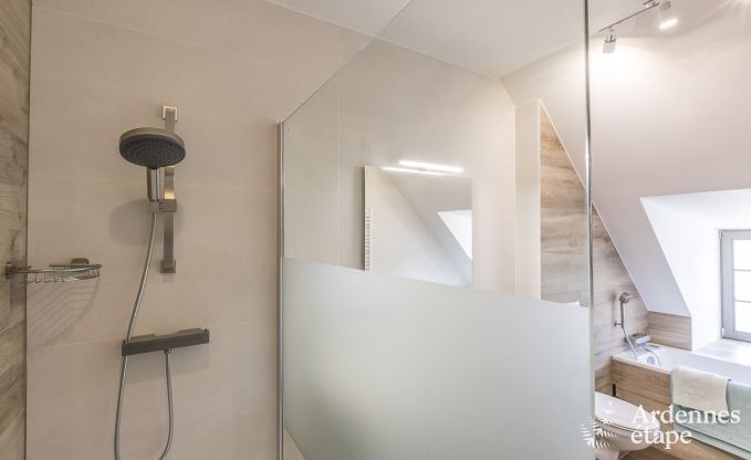 Schloss Ereze 12/15 Pers. Ardennen Schwimmbad Wellness Behinderten gerecht