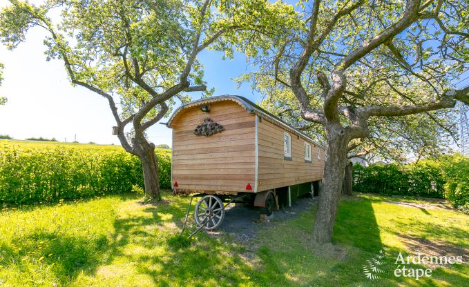 au�ergew�hnliche Ferienwohnung Erezee 2/3 Pers. Ardennen