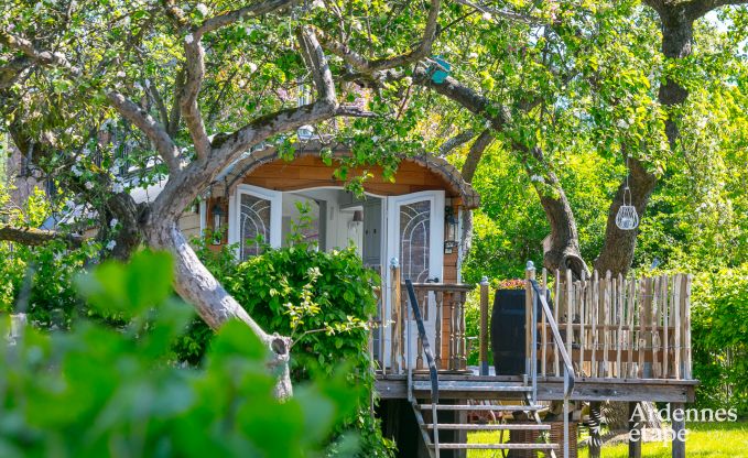 au�ergew�hnliche Ferienwohnung Erezee 2/3 Pers. Ardennen