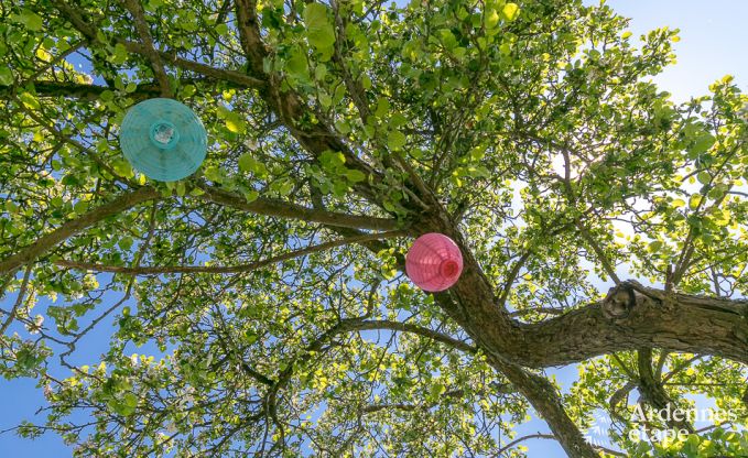 au�ergew�hnliche Ferienwohnung Erezee 2/3 Pers. Ardennen