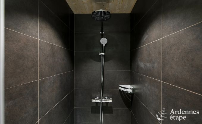 Chalet Erez�e 8 Pers. Ardennen