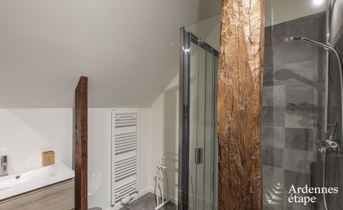 Ferienhaus Erez�e 10 Pers. Ardennen Wellness