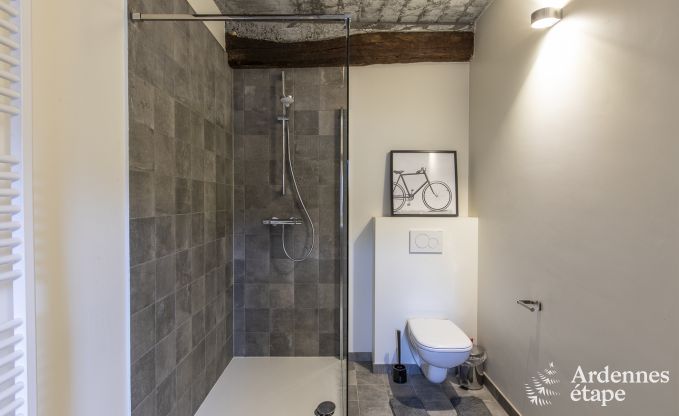 Ferienhaus Erez�e 10 Pers. Ardennen Wellness