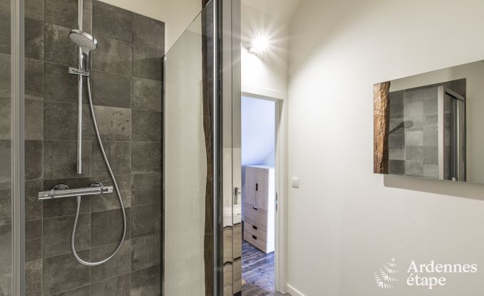 Ferienhaus Erez�e 10 Pers. Ardennen Wellness