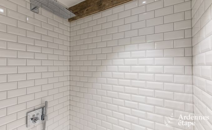 Luxusvilla Ereze 25 Pers. Ardennen Schwimmbad Wellness