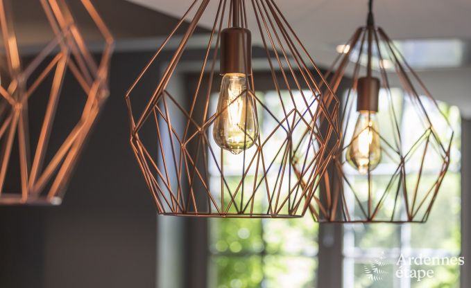 Schloss Ereze 12/15 Pers. Ardennen Schwimmbad Wellness Behinderten gerecht