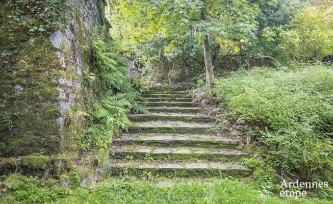 Schloss Ereze 12/15 Pers. Ardennen Schwimmbad Wellness Behinderten gerecht