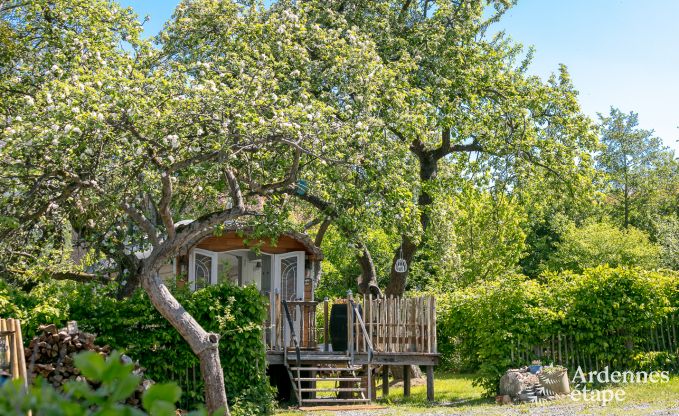 au�ergew�hnliche Ferienwohnung Erezee 2/3 Pers. Ardennen