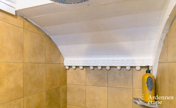 au�ergew�hnliche Ferienwohnung Erezee 2/3 Pers. Ardennen