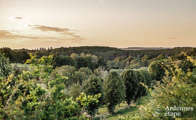 Ferienhaus Eupen (Lontzen) 15 Pers. Ardennen