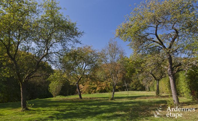 Cottage Falan 13 Pers. Ardennen