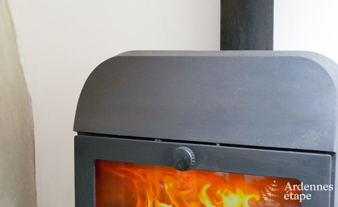 Ferienhaus Fauvillers 8 Pers. Ardennen Wellness