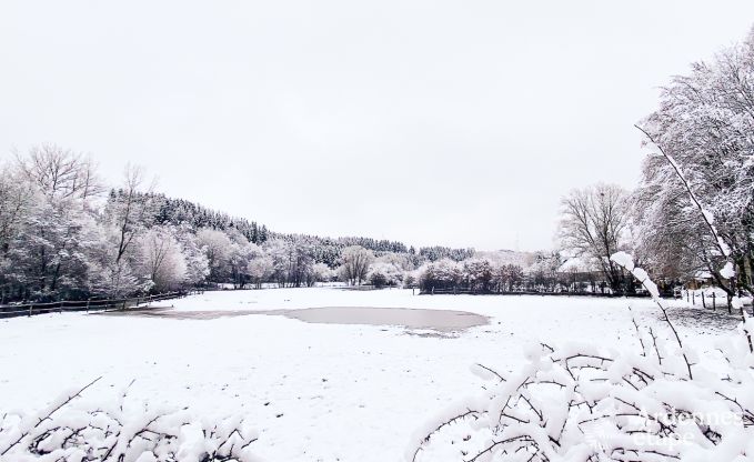 Ferienhaus Fauvillers 4 Pers. Ardennen Behinderten gerecht