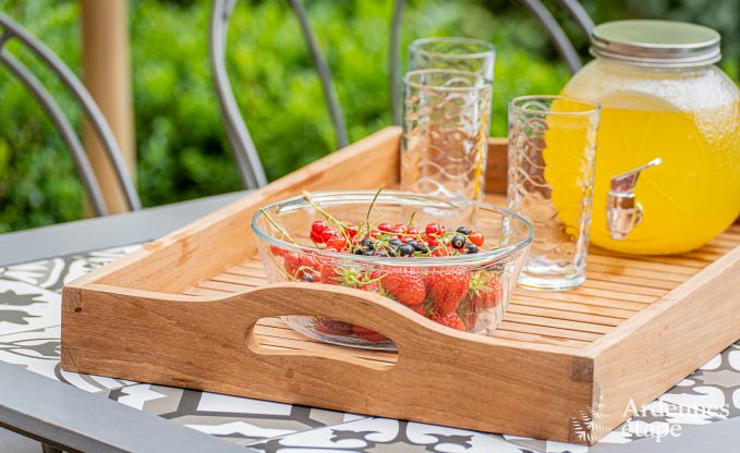 Ferienhaus Fernelmont 2/4 Pers. Ardennen Wellness