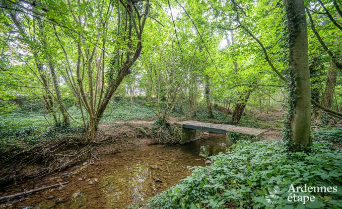 Ferienhaus Fernelmont 2/4 Pers. Ardennen Wellness