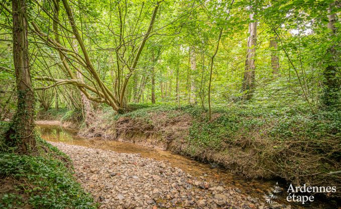 Ferienhaus Fernelmont 2/4 Pers. Ardennen Wellness