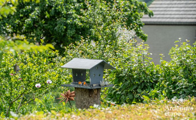 Ferienhaus Ferri�res 2/3 Pers. Ardennen