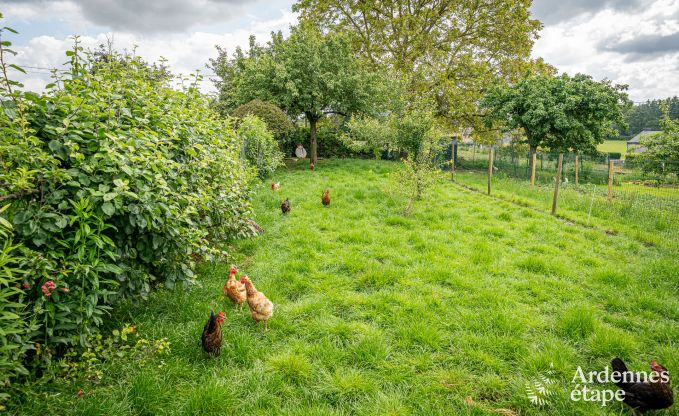 Ferienhaus Ferri�res 2/3 Pers. Ardennen