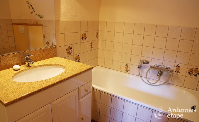 Ferienhaus Ferri�res 15 Pers. Ardennen