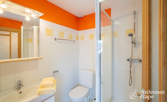 Ferienhaus Ferri�res 31/32 Pers. Ardennen Wellness