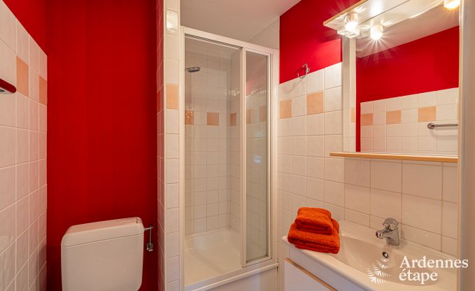 Ferienhaus Ferri�res 31/32 Pers. Ardennen Wellness