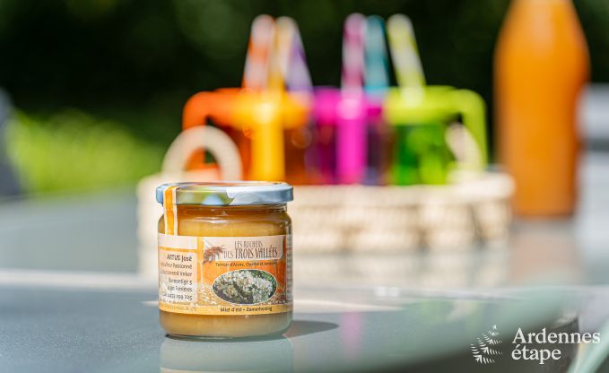 Ferienhaus Ferri�res 32 Pers. Ardennen