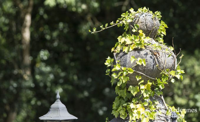 Ferienhaus Ferri�res 9 Pers. Ardennen