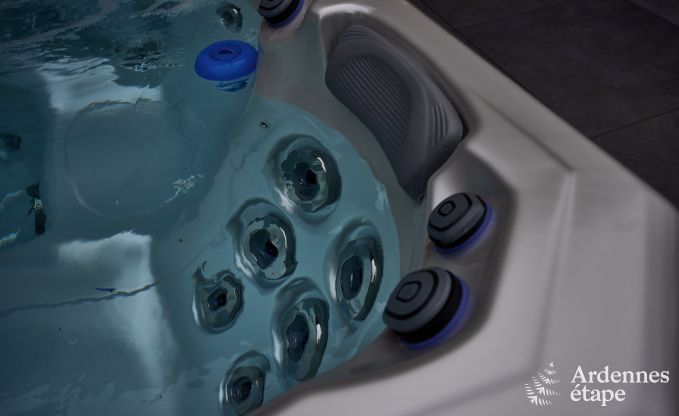 Luxusvilla in Ferri�res Ardenne, 15 Personen, 7 Schlafzimmer, Spa, beheizter Pool, privater Garten, angepasste Ausstattung