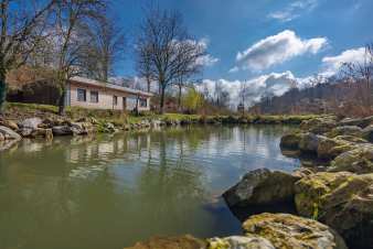 Chalet mit Teich für 6 Personen in Florennes in den Ardennen